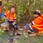 CCTV Drain Inspecti